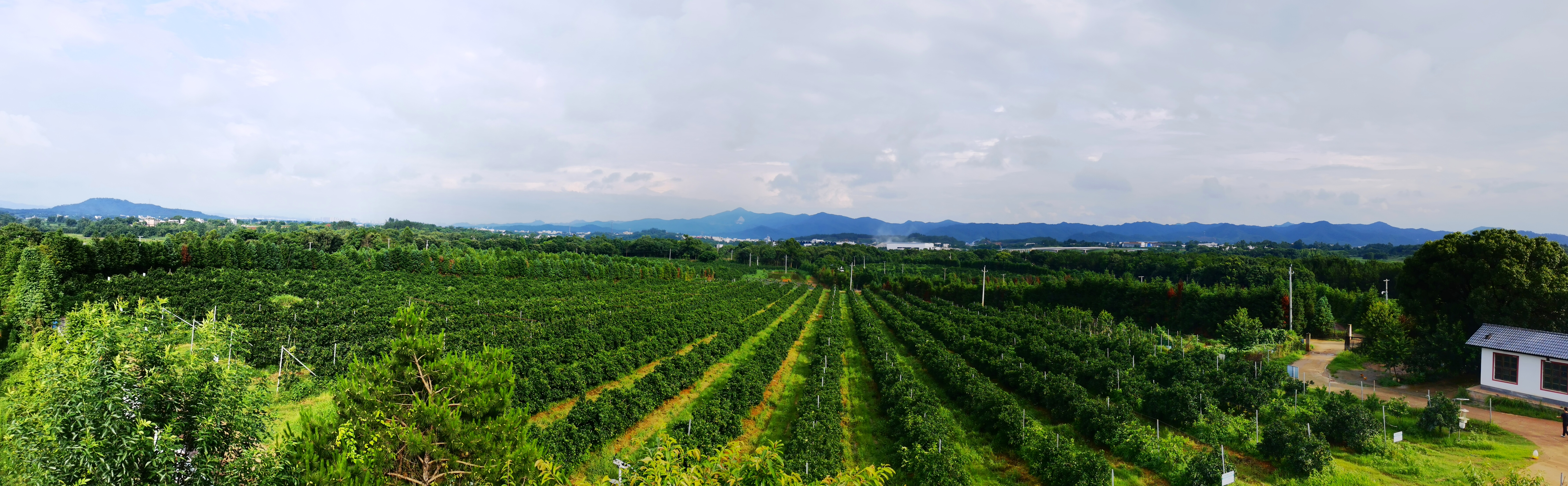 IMG_20220607_164733_edit_191625202663989